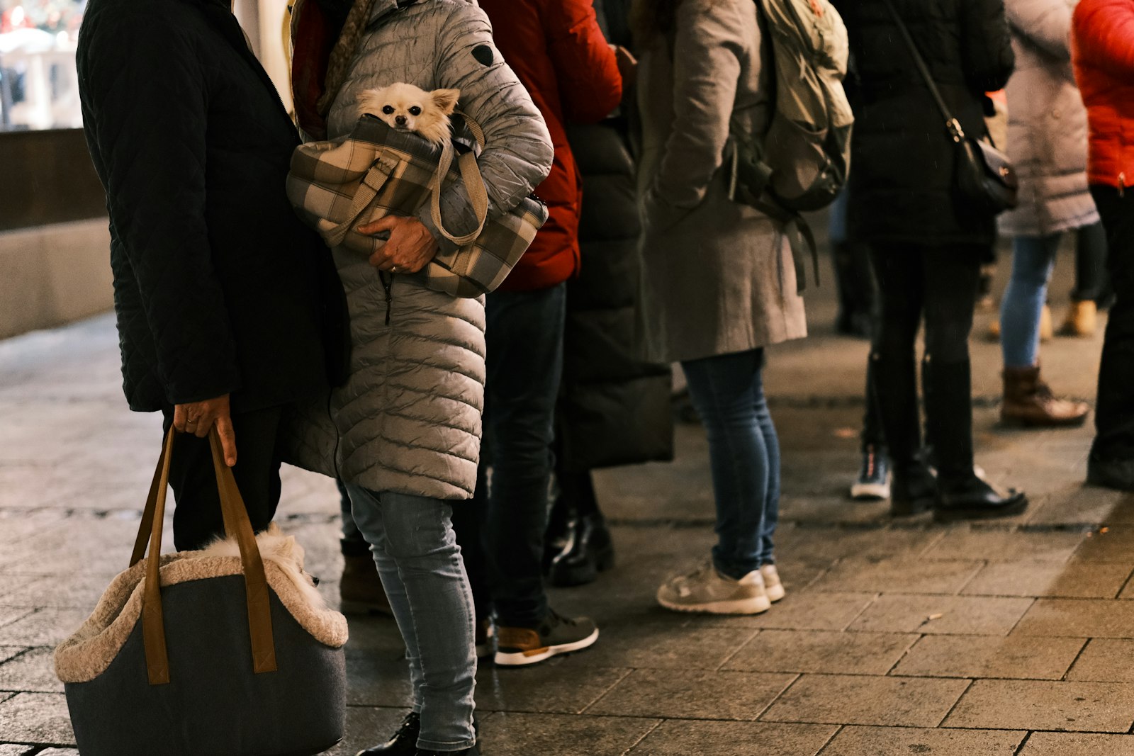 Personas haciendo fila, vistas de cerca y de espaldas, con abrigos y bolsos.